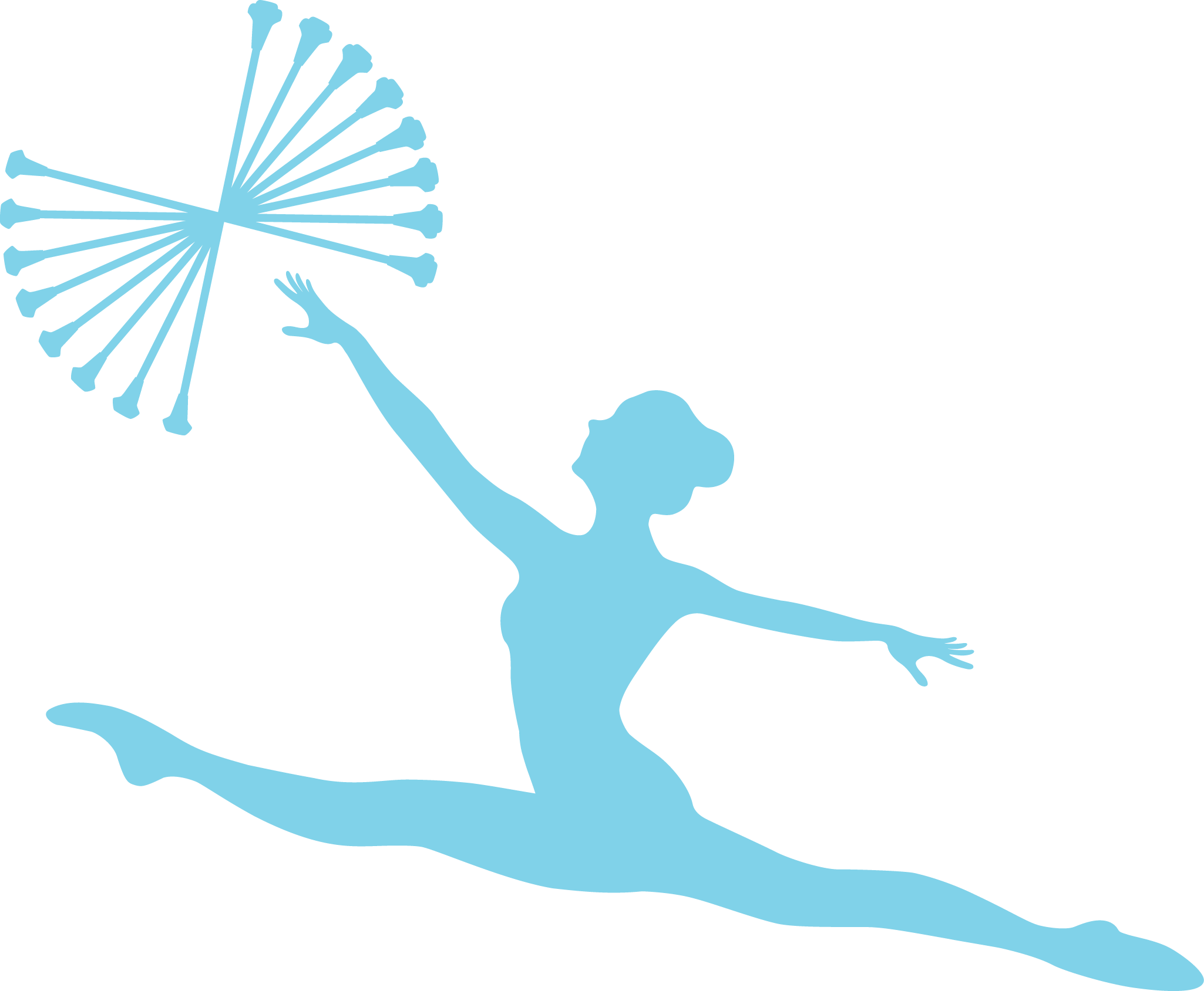 Esibizione di Twirling