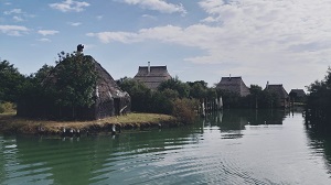Tesiinlaguna 2019